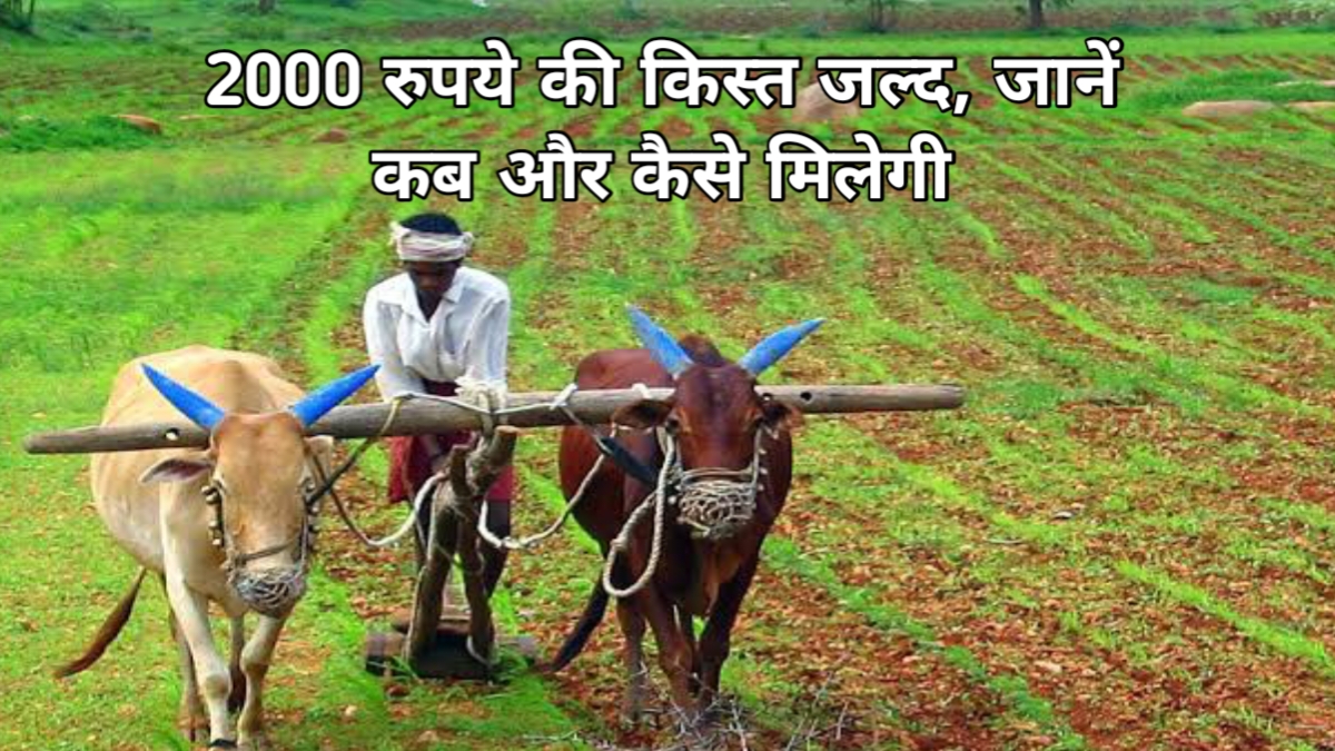 PM Kisan Yojana 20th Installment: 2000 रुपये की किस्त जल्द, जानें कब और कैसे मिलेगी!