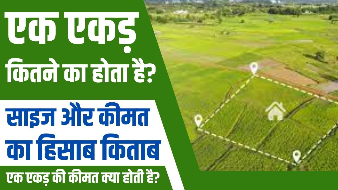 How much is an acre? Calculation of size and cost