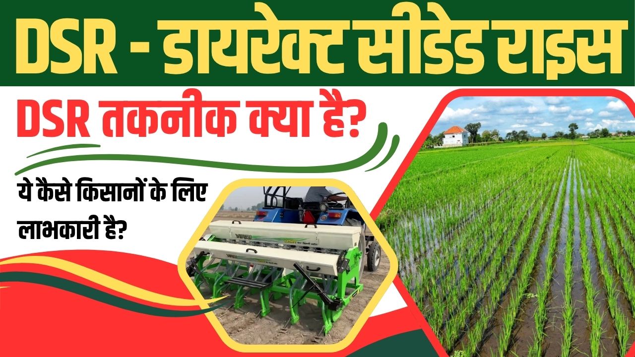 What is DSR (Direct Seeded Rice) technology and how is it beneficial for farmers?