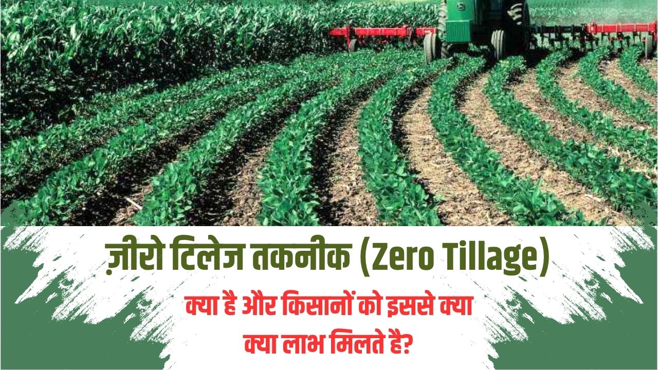 What is Zero Tillage technology and what benefits do farmers get from it? Know here